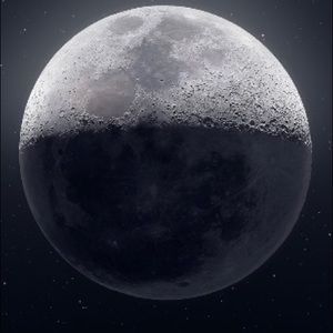 Meet your Posher, Paul